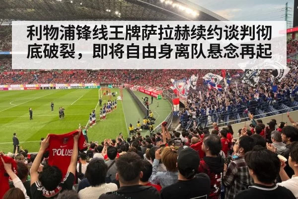 football stadium fans